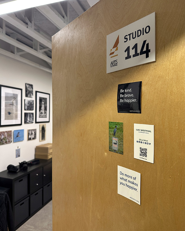 ArtsXchange WADA warehouse district, studio 114, photographer, Luci Westphal