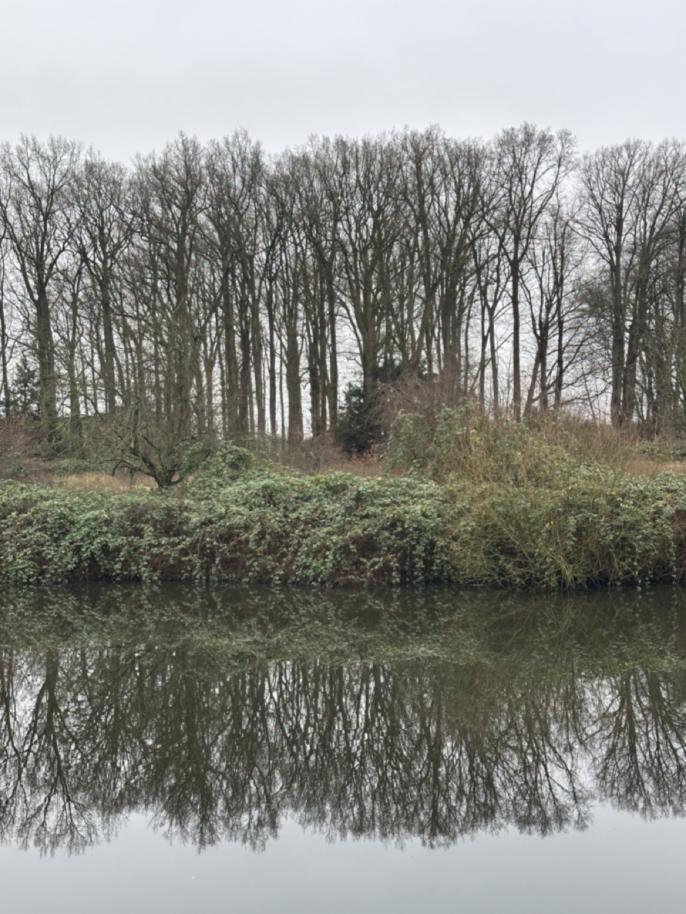 Haseldorfer Schlosspark Reflection