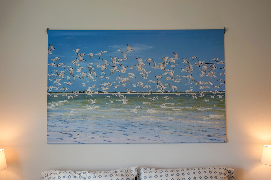 flock of terns, blue sky, shadows, large vinyl print over bed