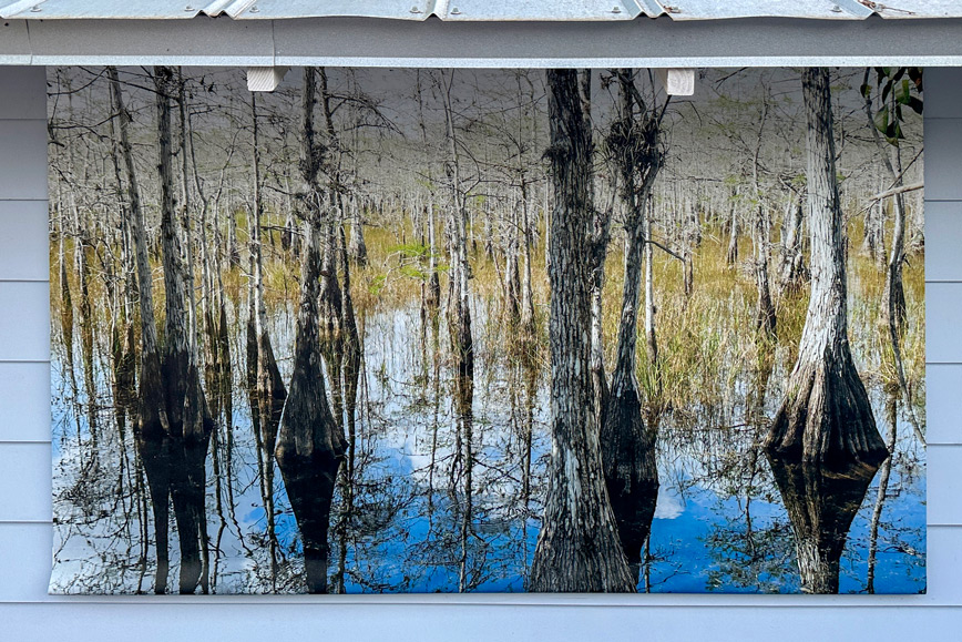 Cypress trees, water, sky reflection, vast vinyl print on wall