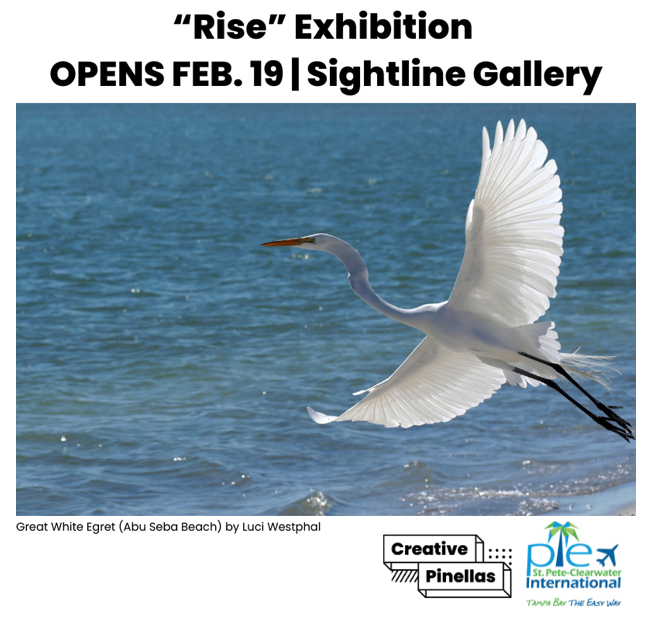 great white egret, Rise exhibition, photography by Luci Westphal