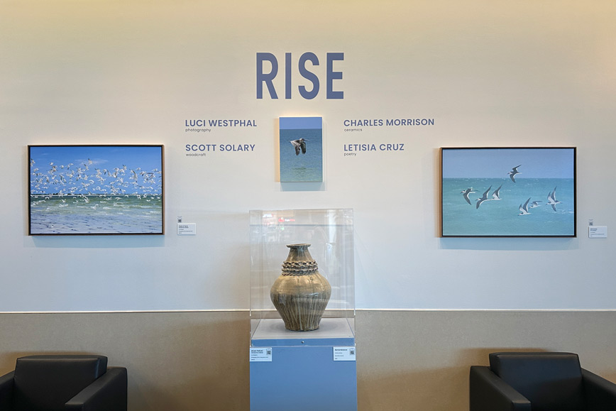 Rise, bird photos, clay vessel, Sightline Gallery, airport