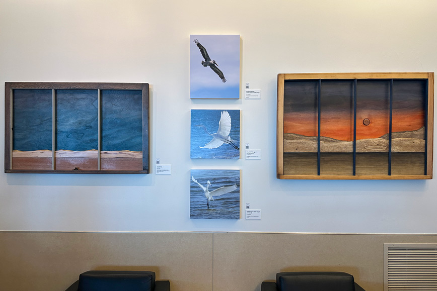 grainscapes, wood landscape, bird photography, Scott Solary, Luci Westphal